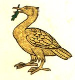 Bird logo