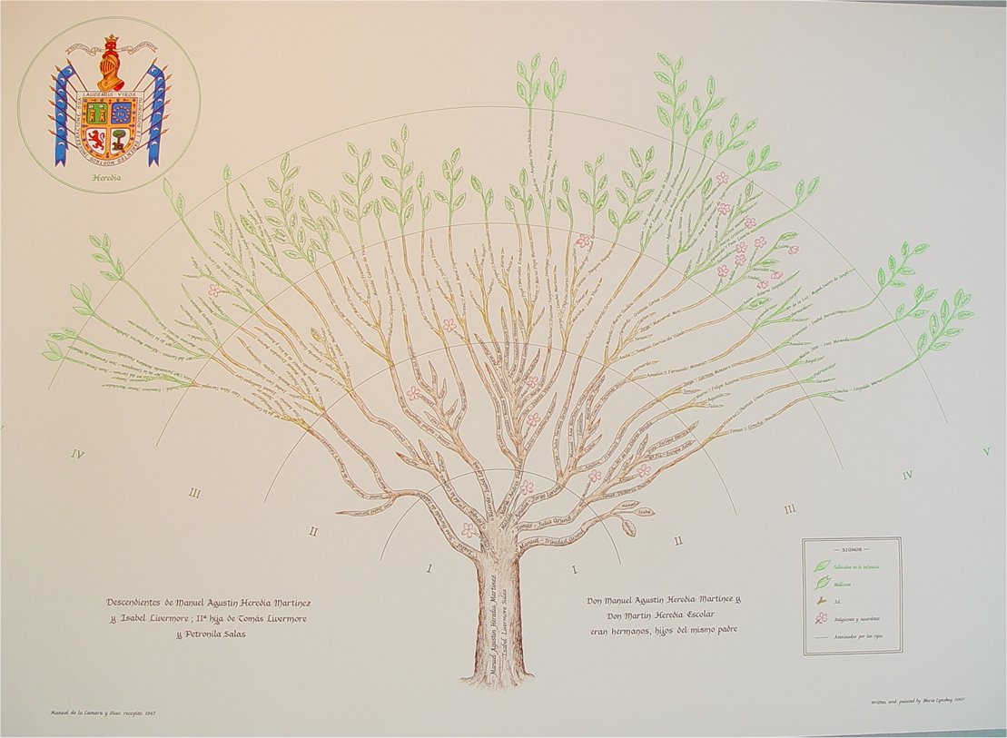Tree-shaped Genealogy