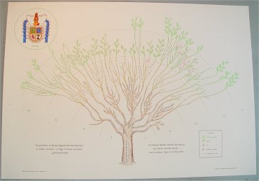 Family Tree in tree shape