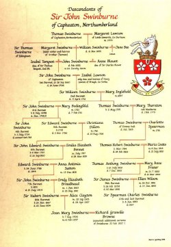 Drop Line Pedigree Chart